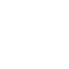 BrokerWiseFlow logo